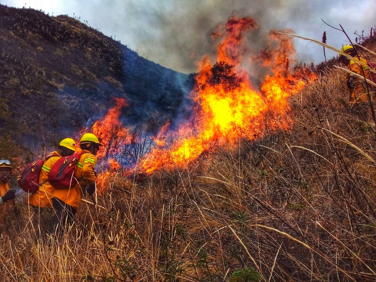 Las Ocho Provincias Que Contin An Con Incendios Activos Diario El