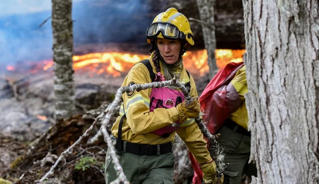 Parque Los Alerces El Fuego Ya Arras Con Hect Reas De Bosque Nativo Diario El Norte