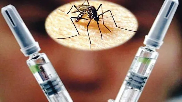 Anmat Aprueba Vacuna Contra El Dengue 5047