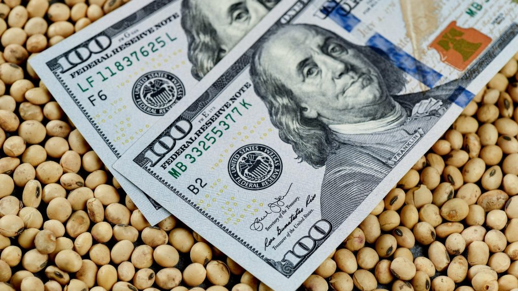 EXPORTADORES LIQUIDARON US$ 54,2 MILLONES DENTRO DEL DÓLAR AGRO