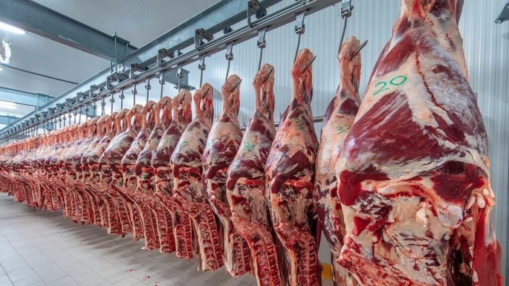 Alimentación y poder adquisitivo: el consumo de carne vacuna cayó al nivel más bajo en 26 años