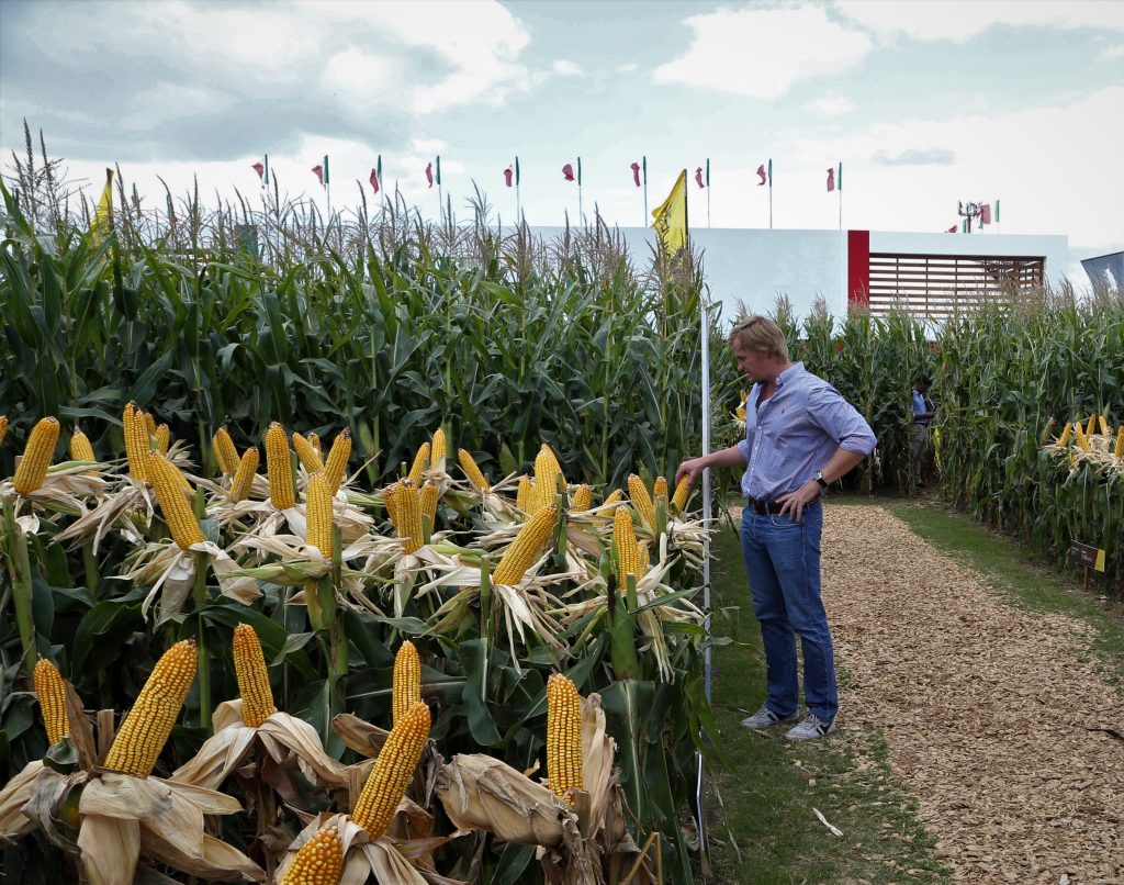 Expoagro