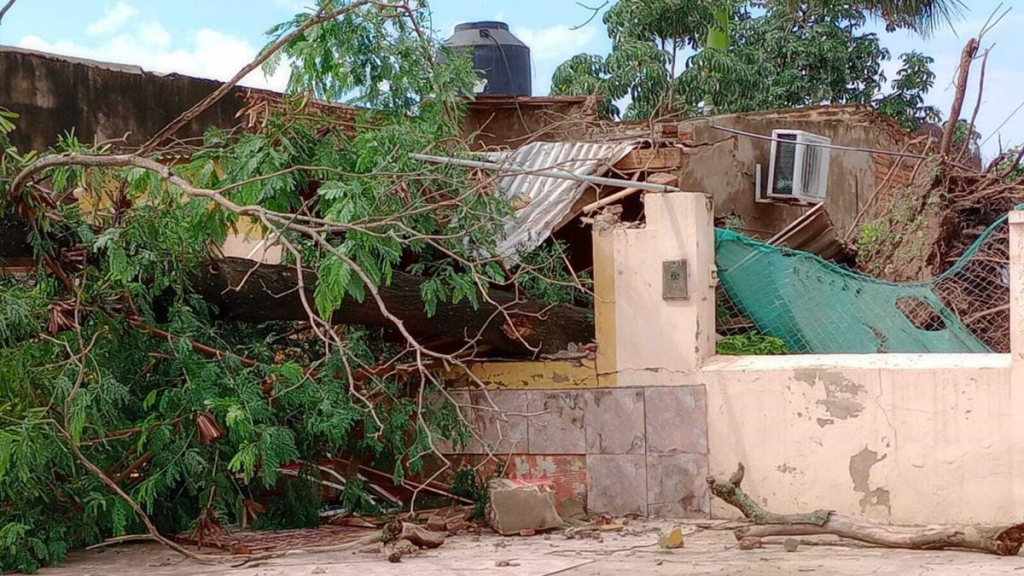 Formosa: falleció un niño por la caída de un árbol en medio de un temporal