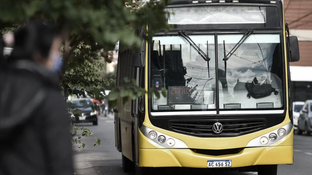 Para la secretaria de Transporte santafesina, quitar subsidios "aumenta la desigualdad"