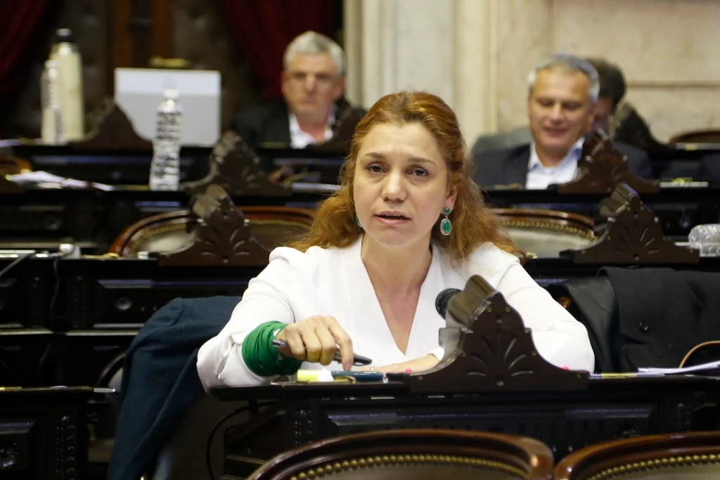 La diputada nacional de la Unión Cívica Radical (UCR) Karina Banfi.
