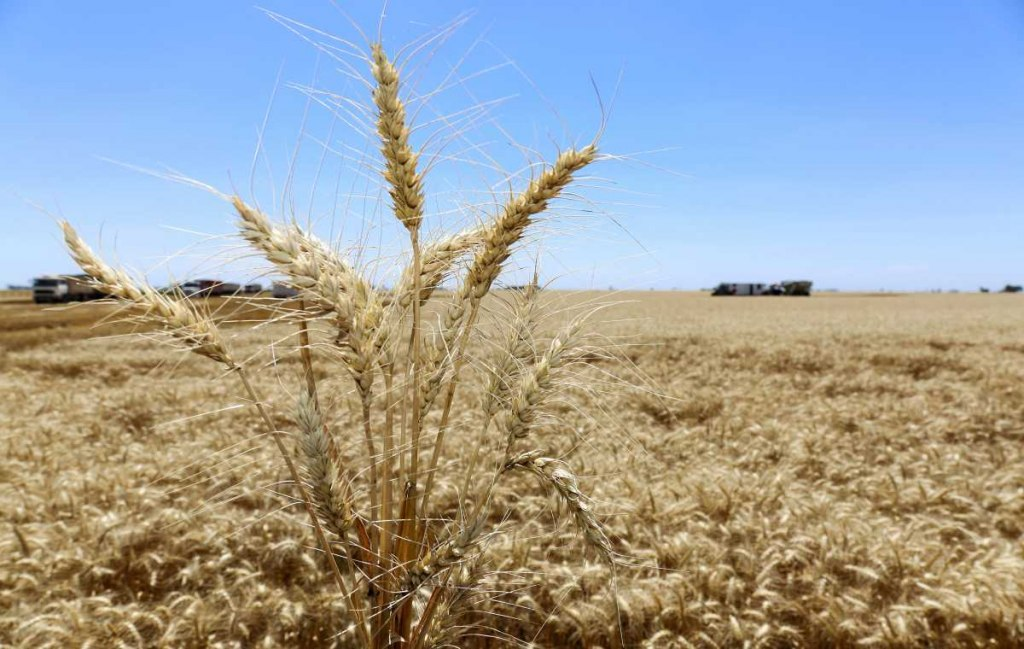 Advierten el regreso de "La Niña" y una eventual sequía