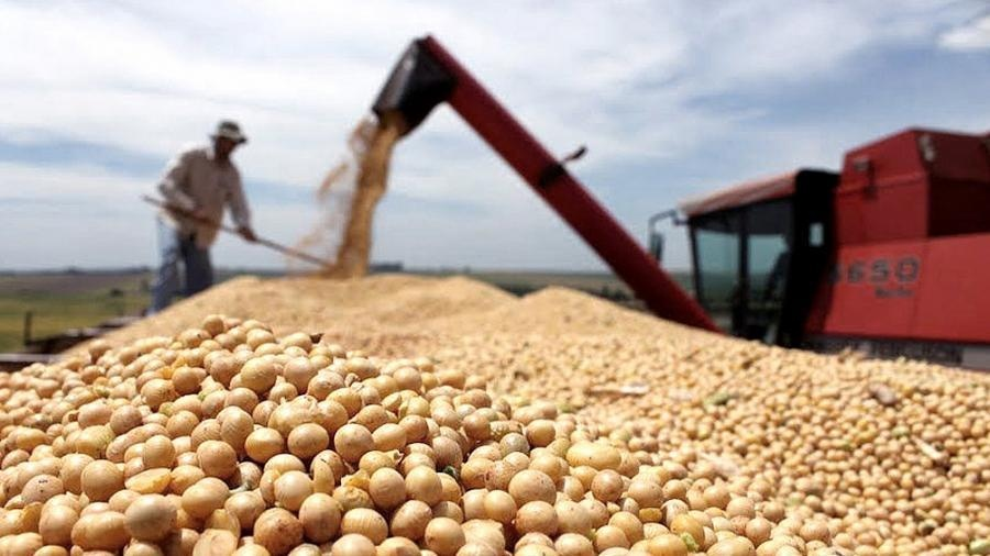 Las lluvias salvaron a la soja de primera pero no evitaron los efectos de la ola de calor