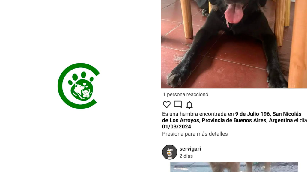 MascotApp, la aplicación creada por un nicoleño para encontrar a tu mascota perdida