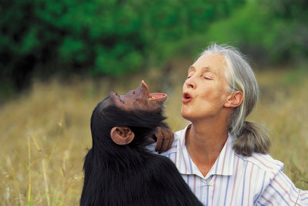 Jane Goodall desea tener más tiempo para difundir el conservacionismo