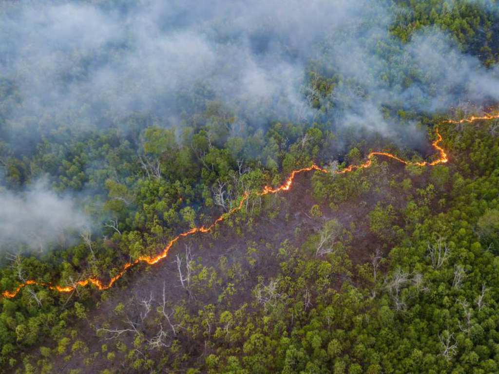 Venezuela: los incendios forestales se ven agravados por la sequía en la región amazónica