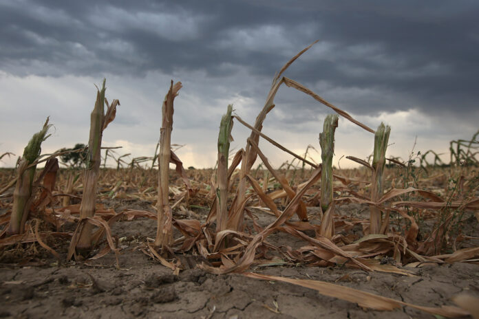 La Provincia declaró la emergencia por sequía a productores de dos distritos