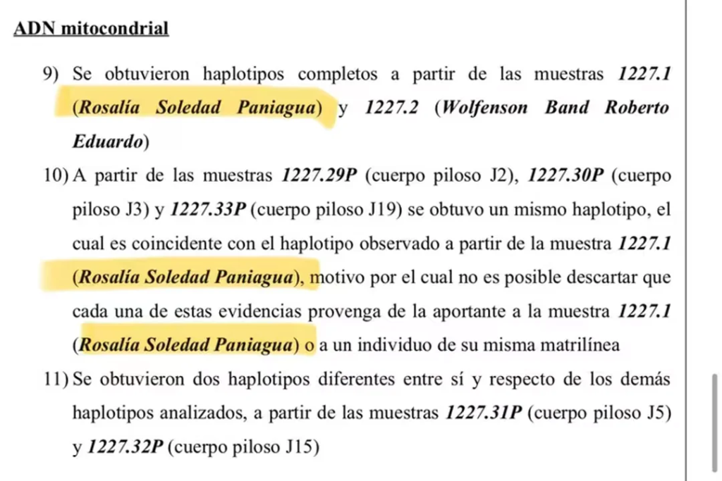 Crimen del country: hallaron ADN de la empleada doméstica debajo de las uñas del empresario asesinado