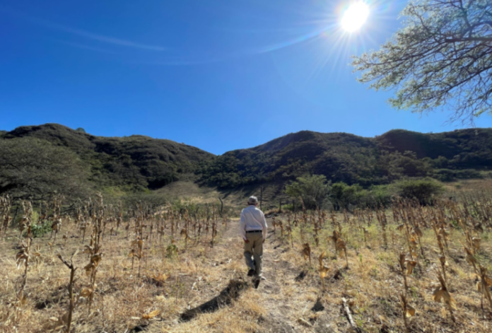 Medioambiente: la ONU pone el foco en la desertificación y la restauración de las tierras