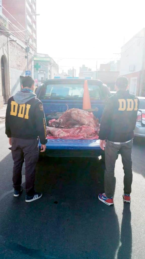 La ruta de la carne faenada por cuatreros conduce a un solo destino: carnicerías clandestinas