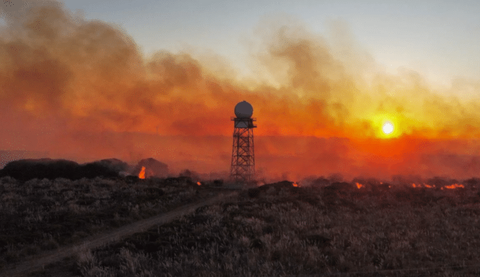 Mar del Plata: impactante incendio cerca del predio de Obras Sanitarias sobre la ruta 11