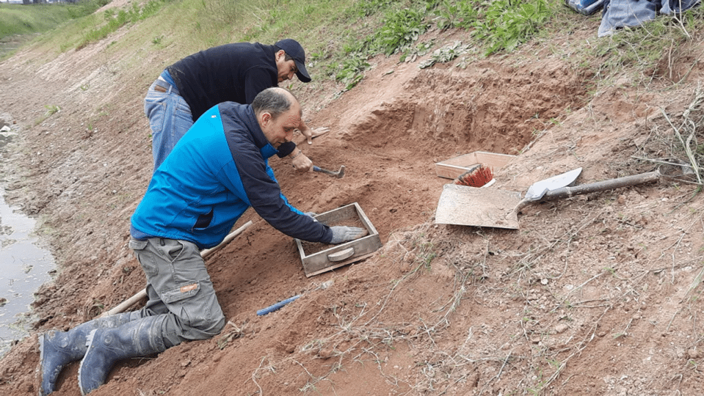 Hallaron restos de un Gliptodonte con marcas de origen humano en la provincia de Buenos Aires