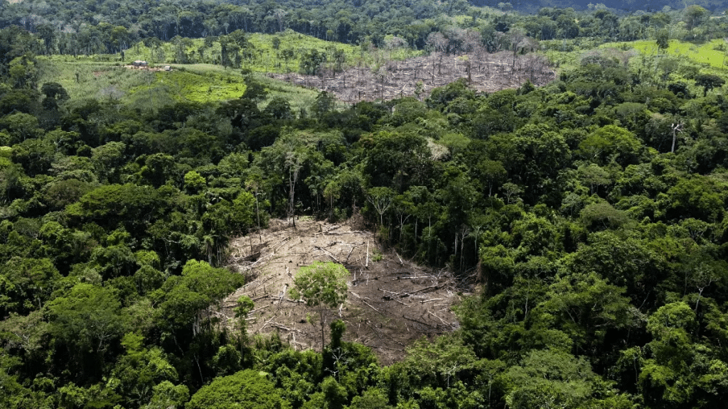 Brasil pide a la Unión Europea que suspenda la aplicación de la ley de deforestación