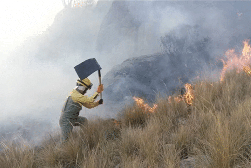 Suman al menos 15 muertos en Perú por incendios forestales