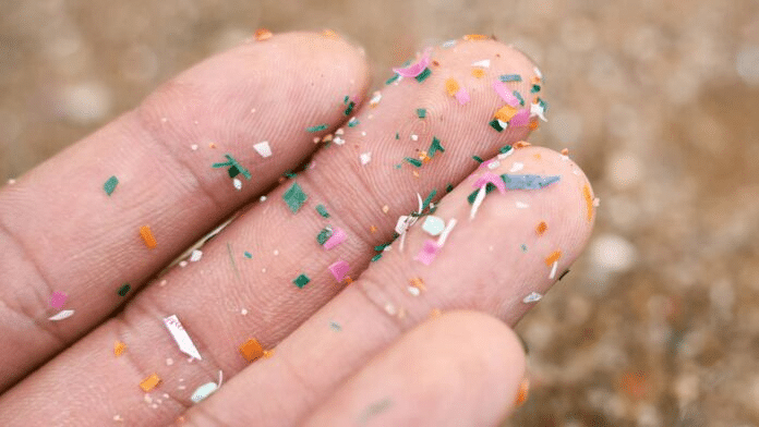 Microplásticos: un nuevo descubrimiento inquieta a la comunidad científica mundial