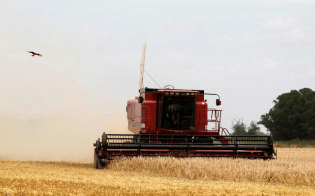 El mal tiempo frena la producción mundial de trigo e impulsa los precios