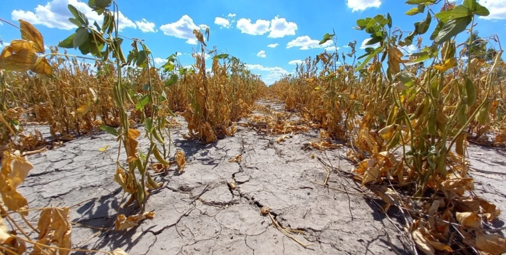 Un informe confirma que La Niña impactará fuertemente en Argentina con sequías y bajas precipitaciones