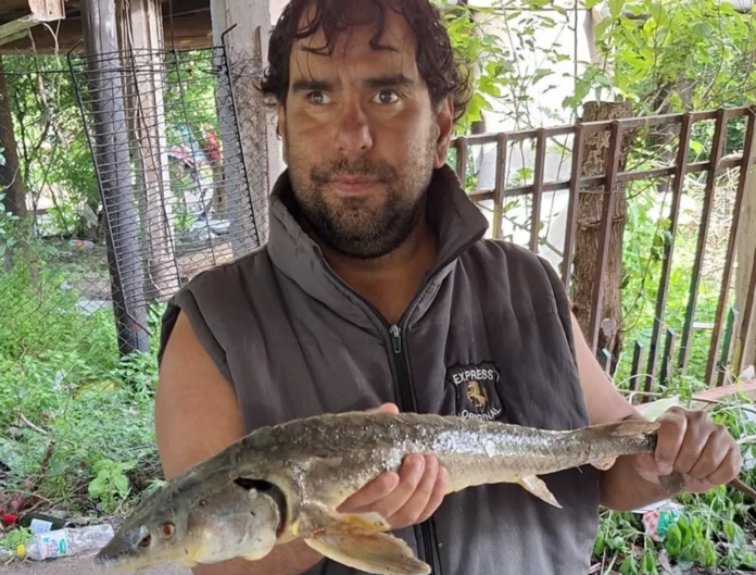 Bernal: un hombre pescó un esturión y los ambientalistas advirtieron sobre la posibilidad de que se vuelva plaga