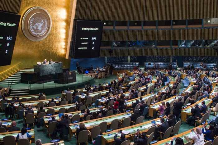 Argentina fue el único país en la ONU en votar contra una resolución para eliminar la violencia contra mujeres y niñas