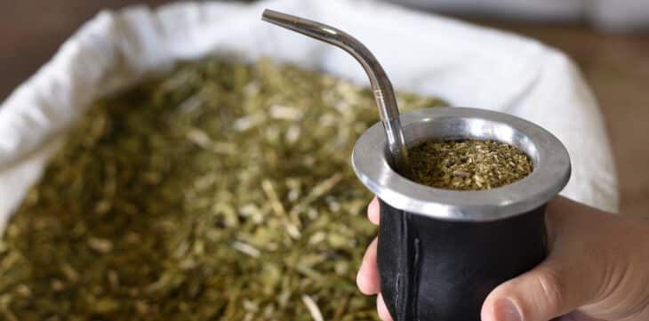 Yerba Mate