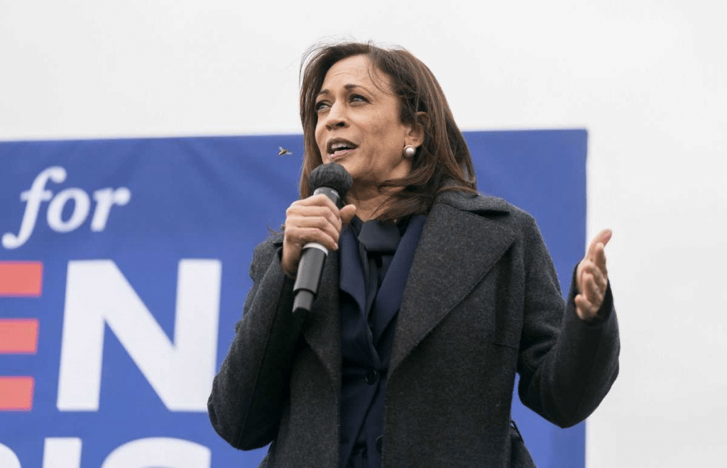 Harris y sus principales propuestas: beneficios fiscales, control de armas y energía limpia