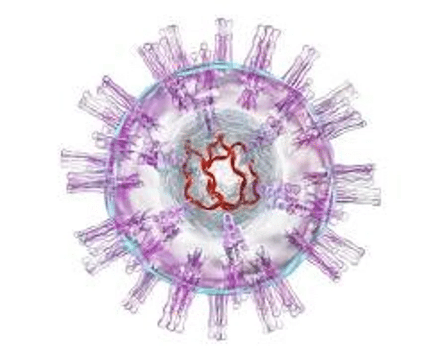 ¿Qué es el herpesvirus y a qué animales afecta?