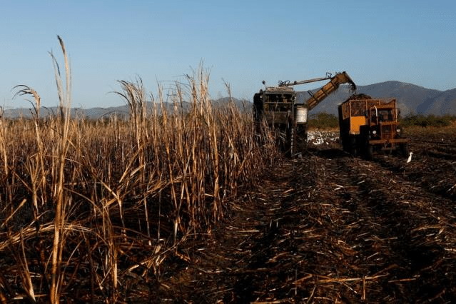 Cuba: declive de la industria azucarera marca un reflejo de la crisis económica