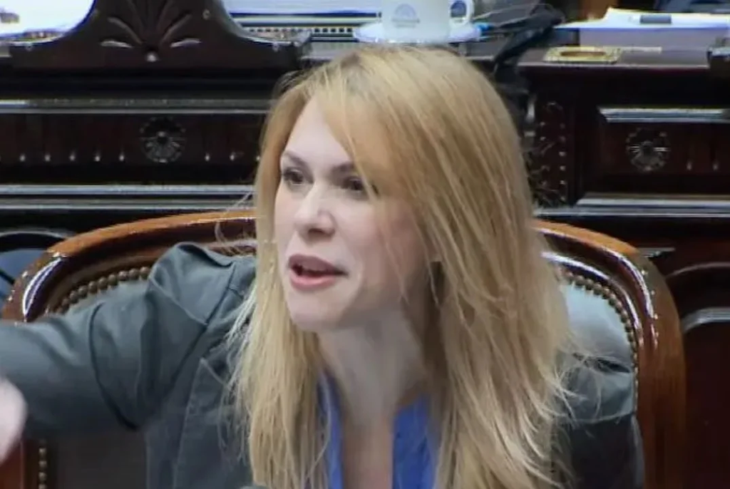 Lilia Lemoine sobre Villarruel: “Planea su propia campaña y utiliza los recursos del Senado”