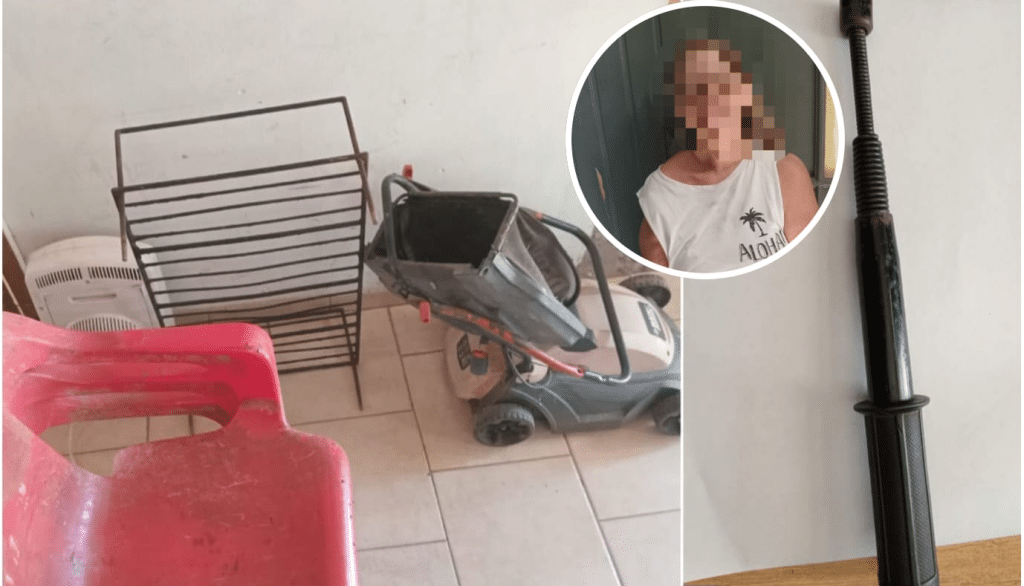 detenida hurtar elementos propiedad