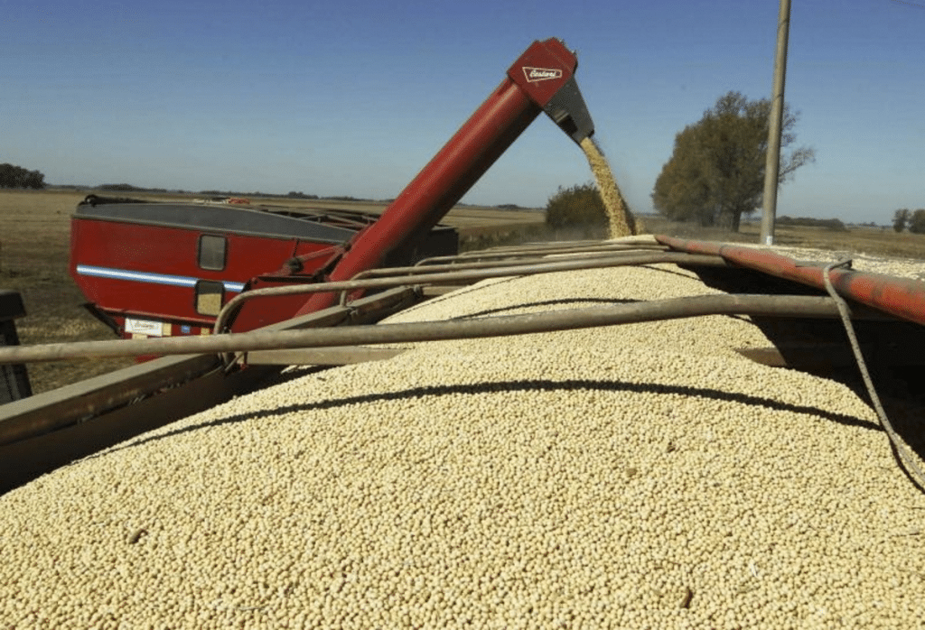 commodities precios noviembre alimentos informe