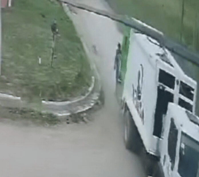 Quequén: recolectores atropellaron a un perro y lo arrojaron al camión de basura