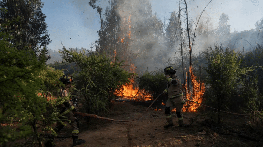 Chile declara alerta roja en cinco comunas por incendios forestales que afectan más de 1.400 hectáreas