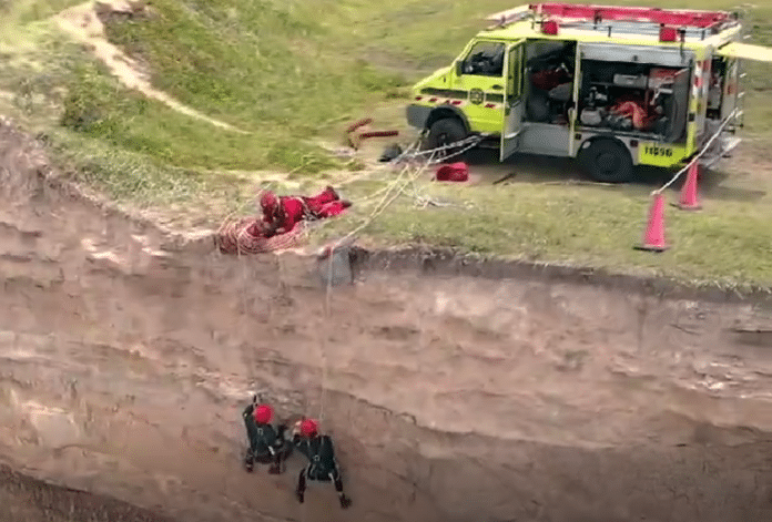 Rescataron el fósil de un perezoso gigante desde 12 metros de altura en los acantilados de Mar del Plata