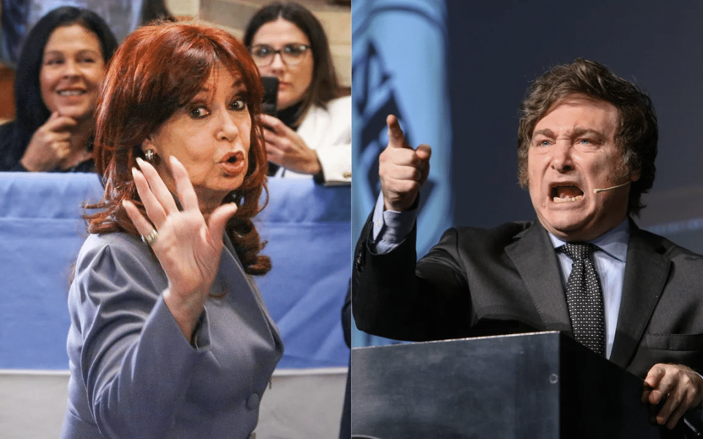 Milei Kuider Cristina Kirchner Senador