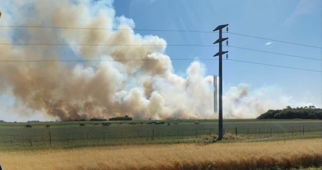 Incendio en un basural afectó con humo a Villa Ramallo