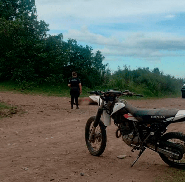 Una Honda Tornado colisionó contra un caballo en barrio Moreno: el motociclista presenta lesiones graves 