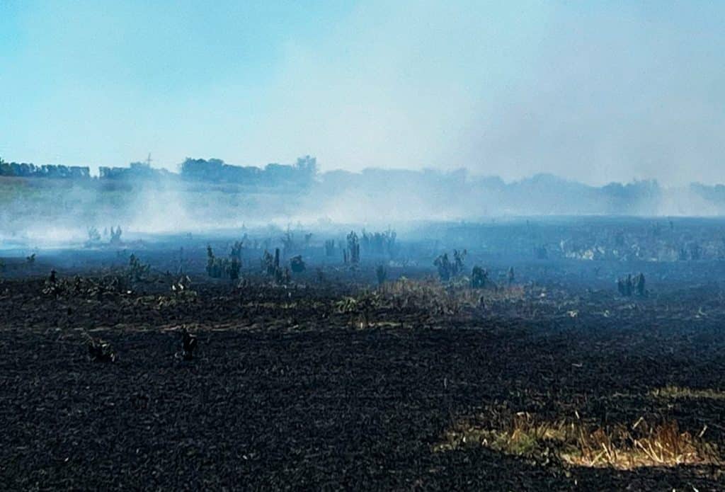 Bomberos incendios 2025 San Nicolás