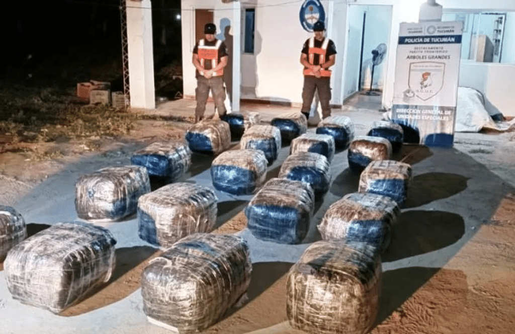 Secuestran 400 kilos de hojas de coca en un Puesto Fronterizo