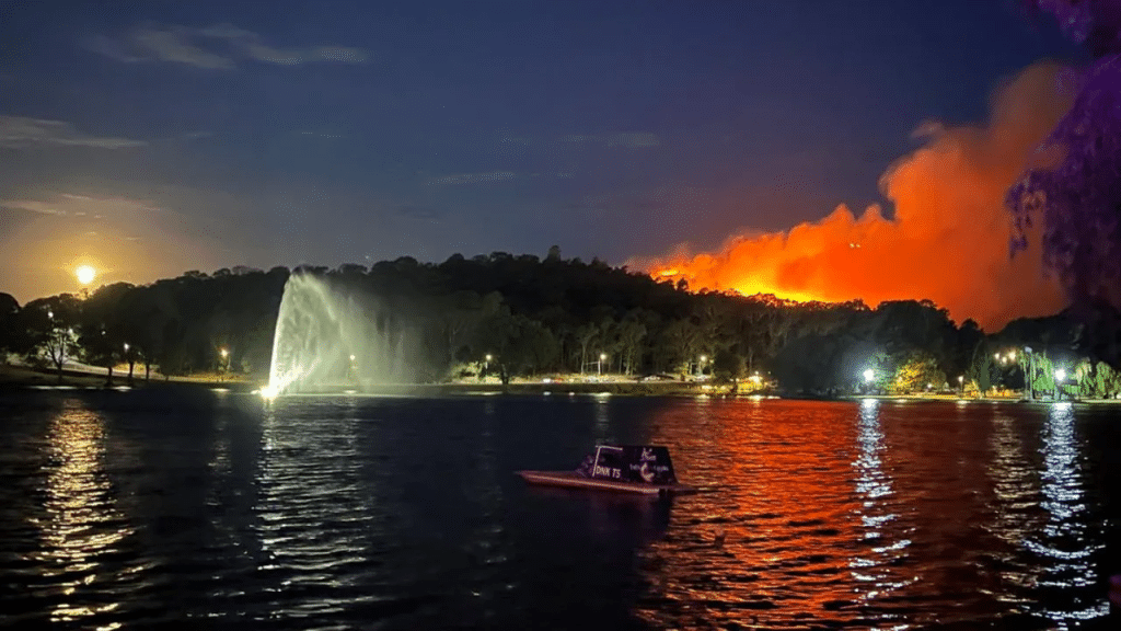 Tandil en alerta por un devastador incendio forestal en el Cerro de la Cruz