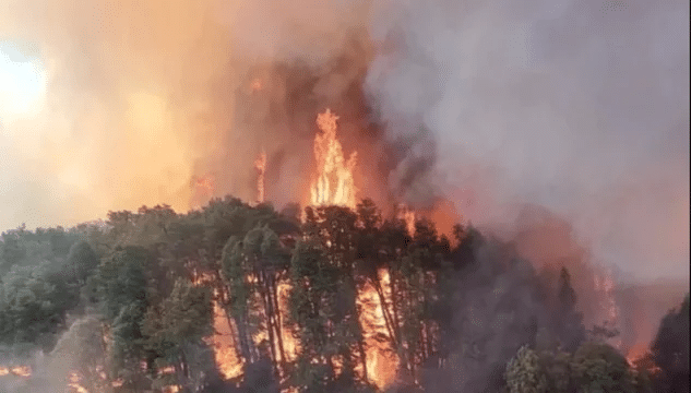 Incendios en Nahuel Huapi: hace casi un mes continúa el fuego en el área