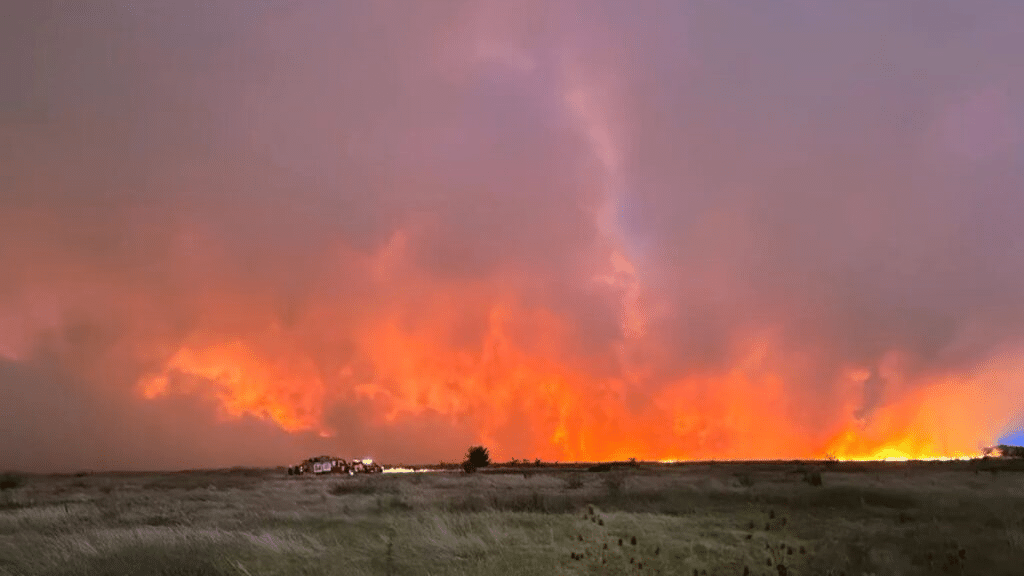 Reserva natural: logran contener un incendio que causó alarma en Berazategui y la región