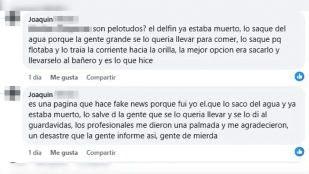 delfín muerto mar del tuyú foto redes sociales