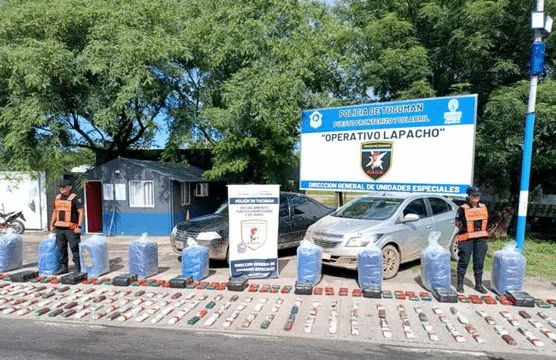 Tucumán: secuestran más de 400 kilos de hojas de coca en puestos fronterizos