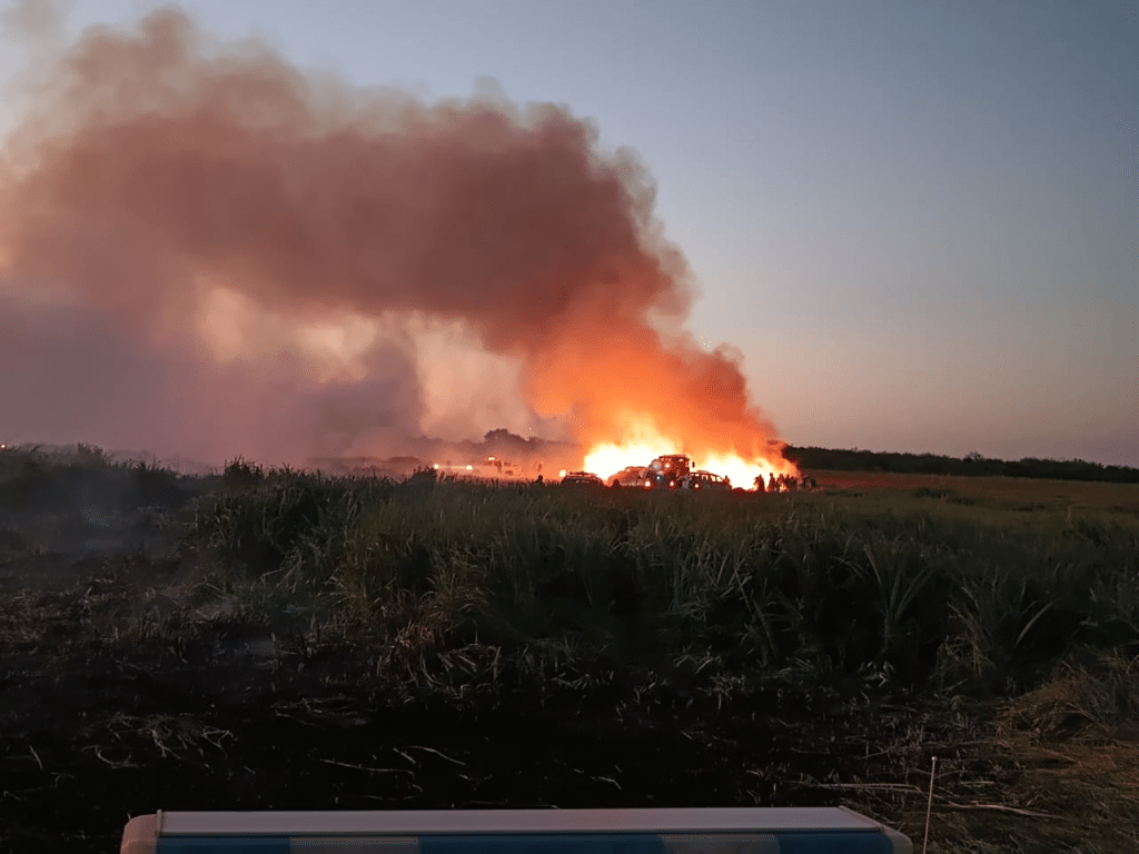 bomberos de La Emilia La Plata reserva forestal