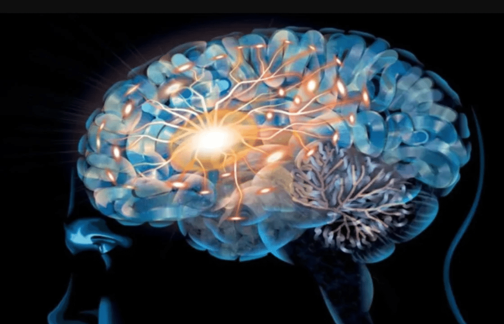Revolución científica: revelan que los nervios, el páncreas y los riñones tienen recuerdos como las neuronas