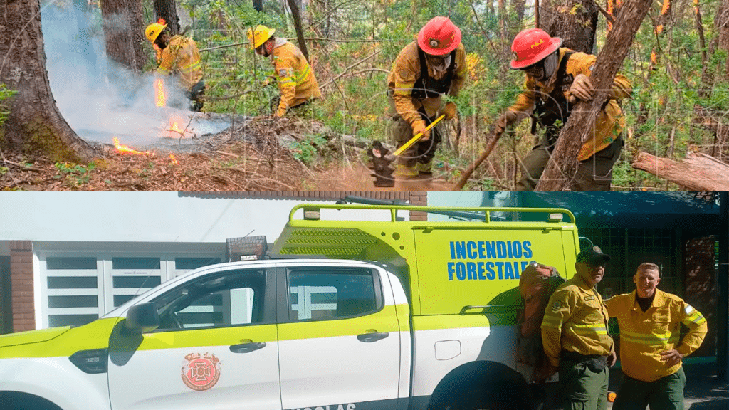 regresaron bomberos Patagonia San Nicolás